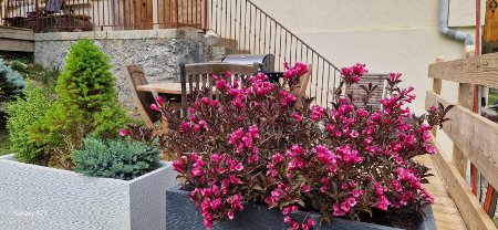 Chalet été Marmotte